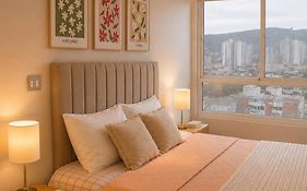 Departamento central elegante y acogedor